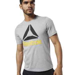 Reebok QQR- Stacked T Shirt Herren - Grau/Schwarz - DE 657-AIL